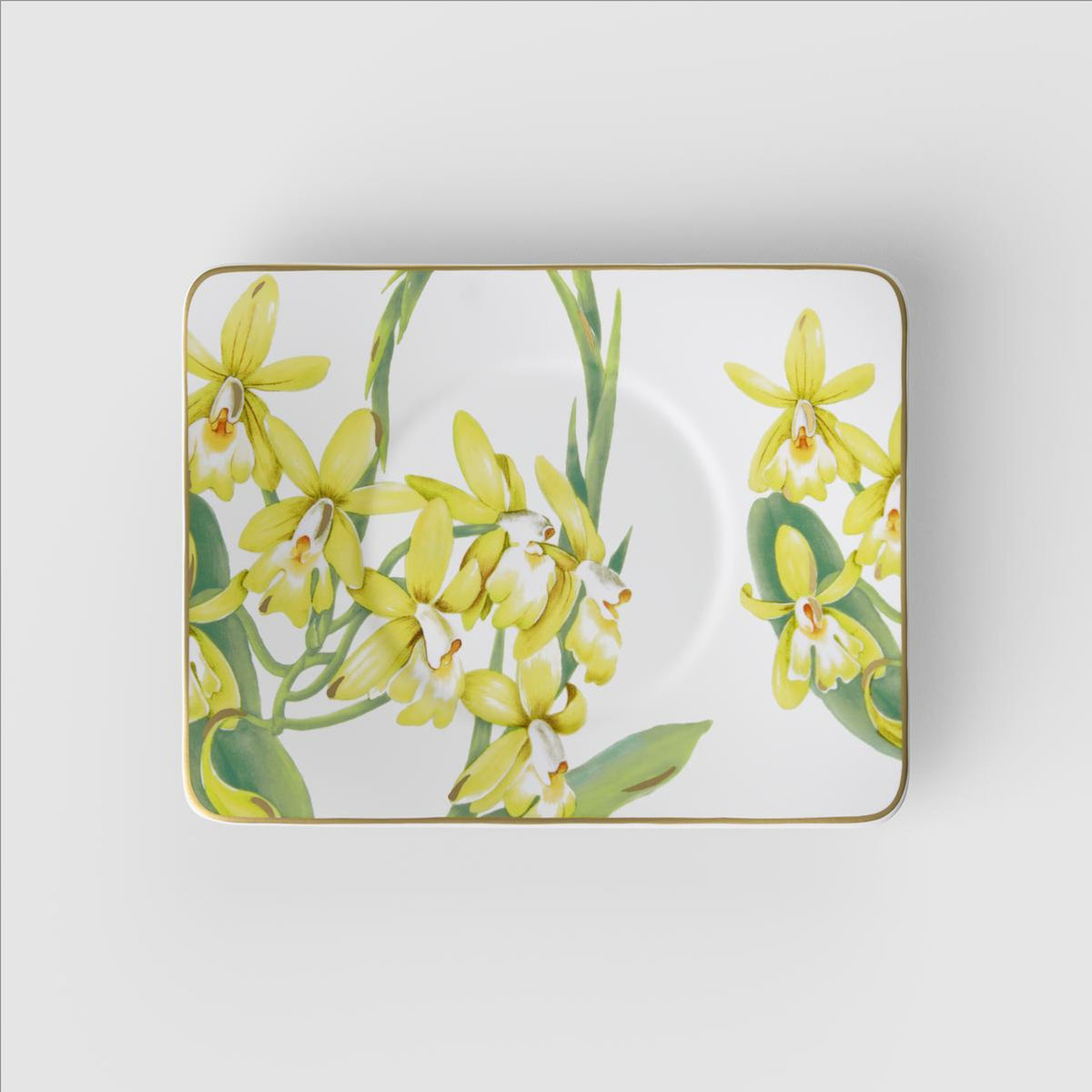 Amazonia Saucer Tea Cup