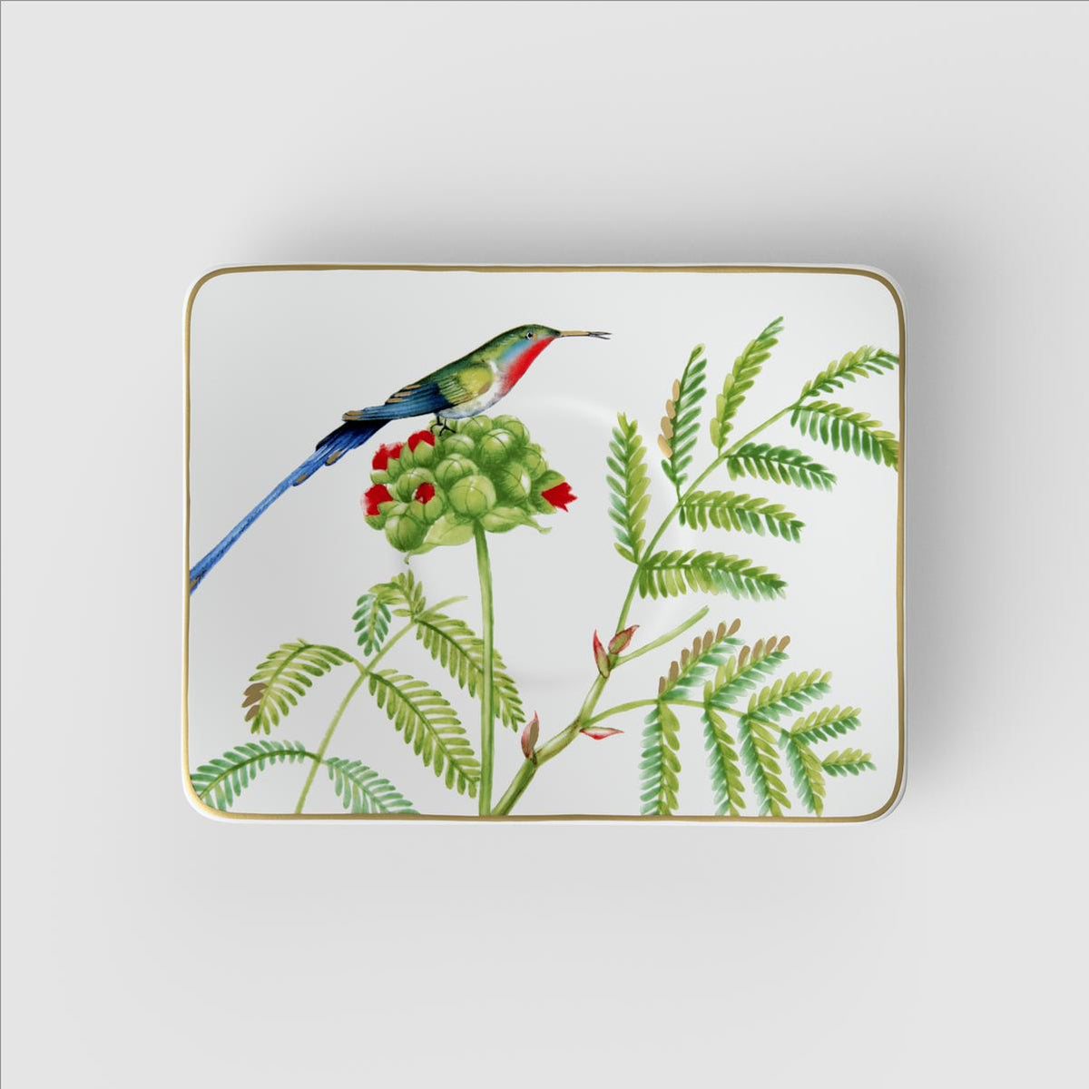 Amazonia Saucer Coffee Cup