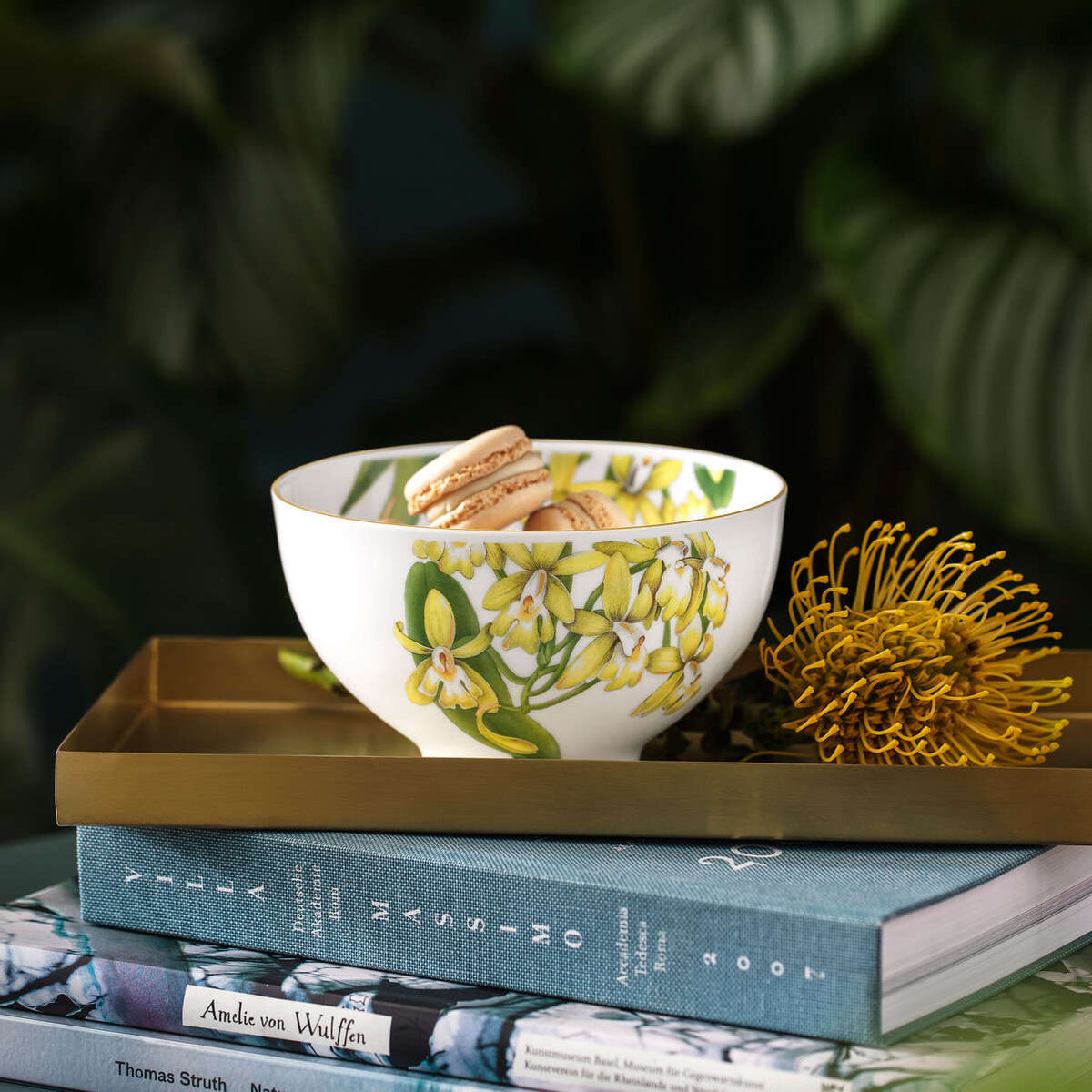 Amazonia Bowl