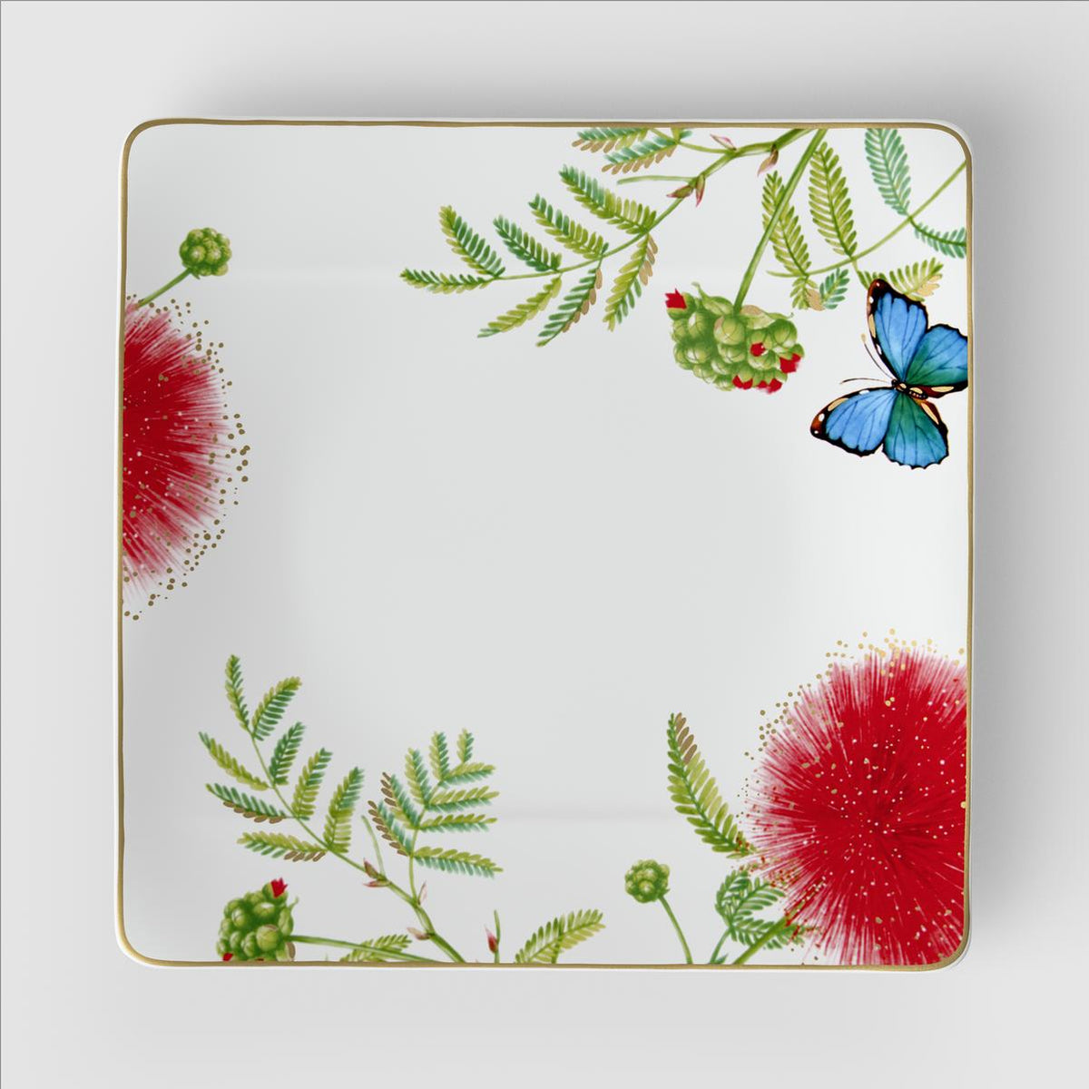 Amazonia Flat Plate
