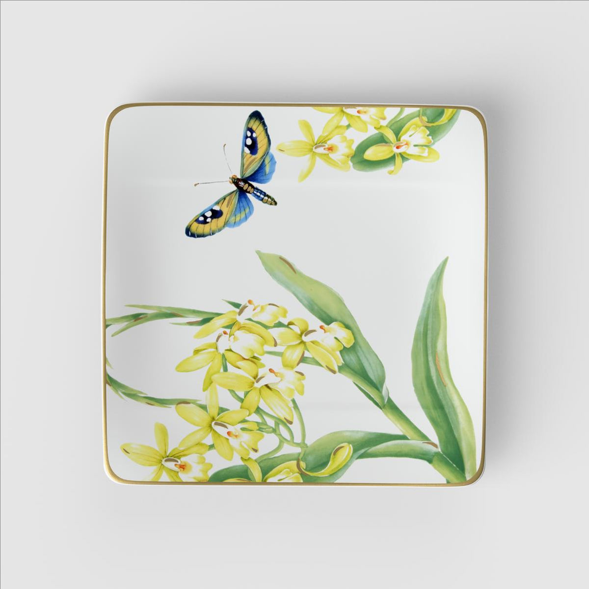 Amazonia Salad Plate