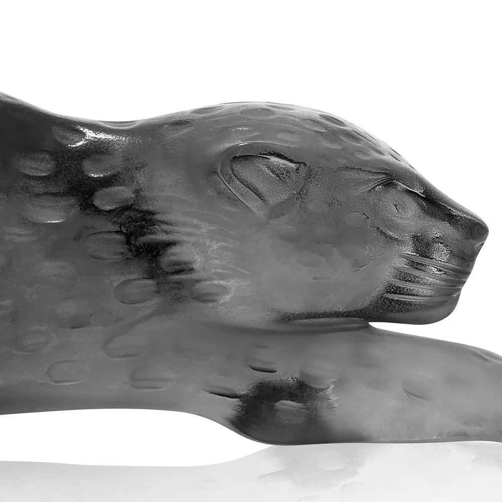 Close-up of a black glass sculpture of a snake on a white background