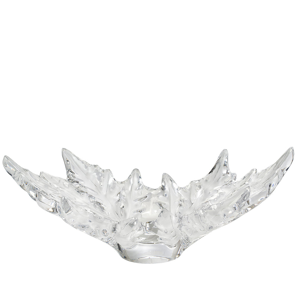 Clear glass bowl with unique design on a white background