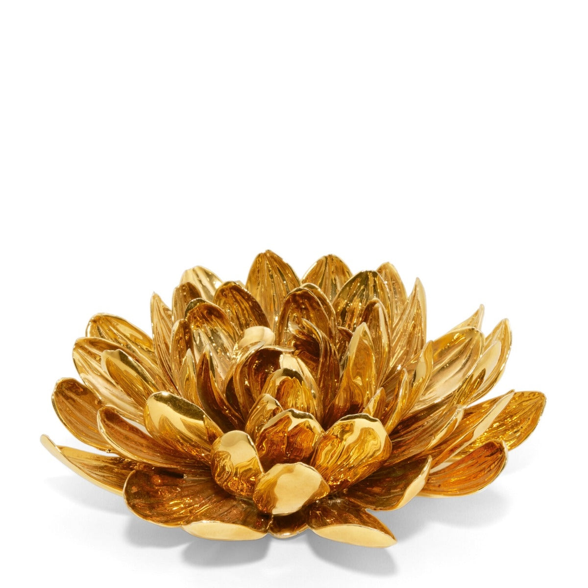 AERIN gilded dahlia