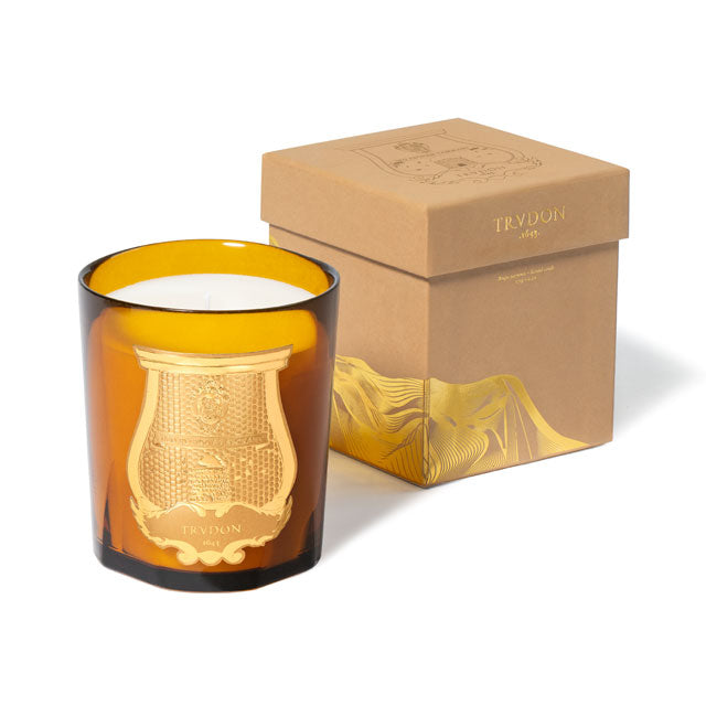 Trudon Altair 270g candle