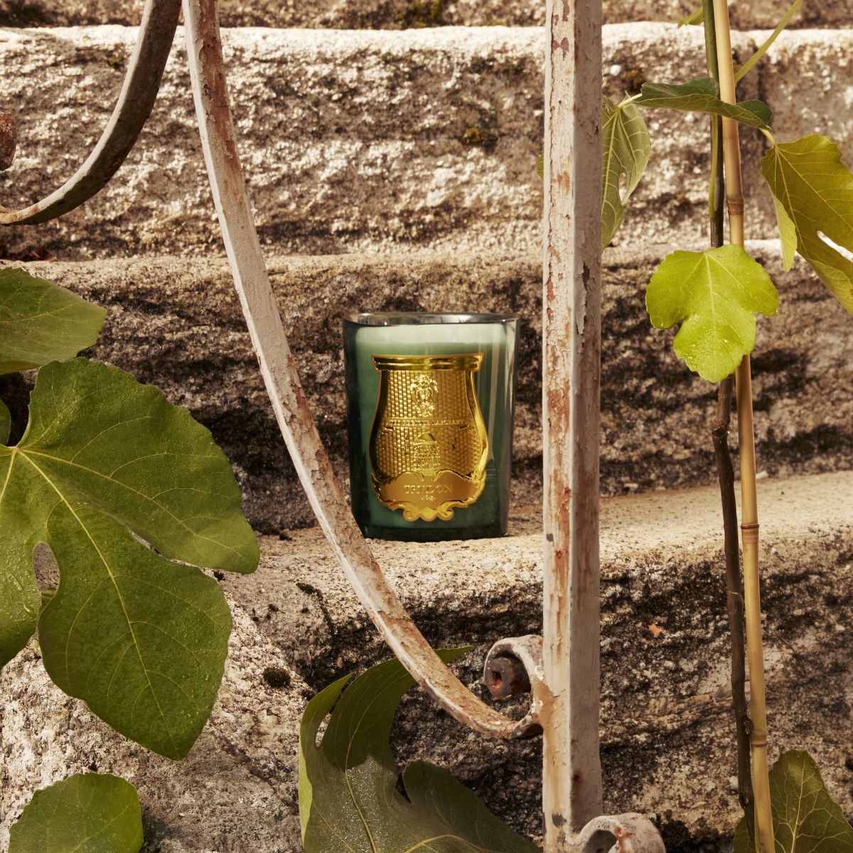 Decorative candle with gold design in a green container on a stone surface with leaves.