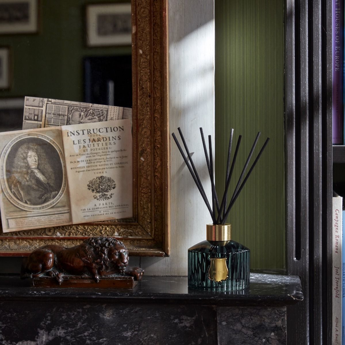 Decorative diffuser on a shelf with vintage books and a mirror in the background