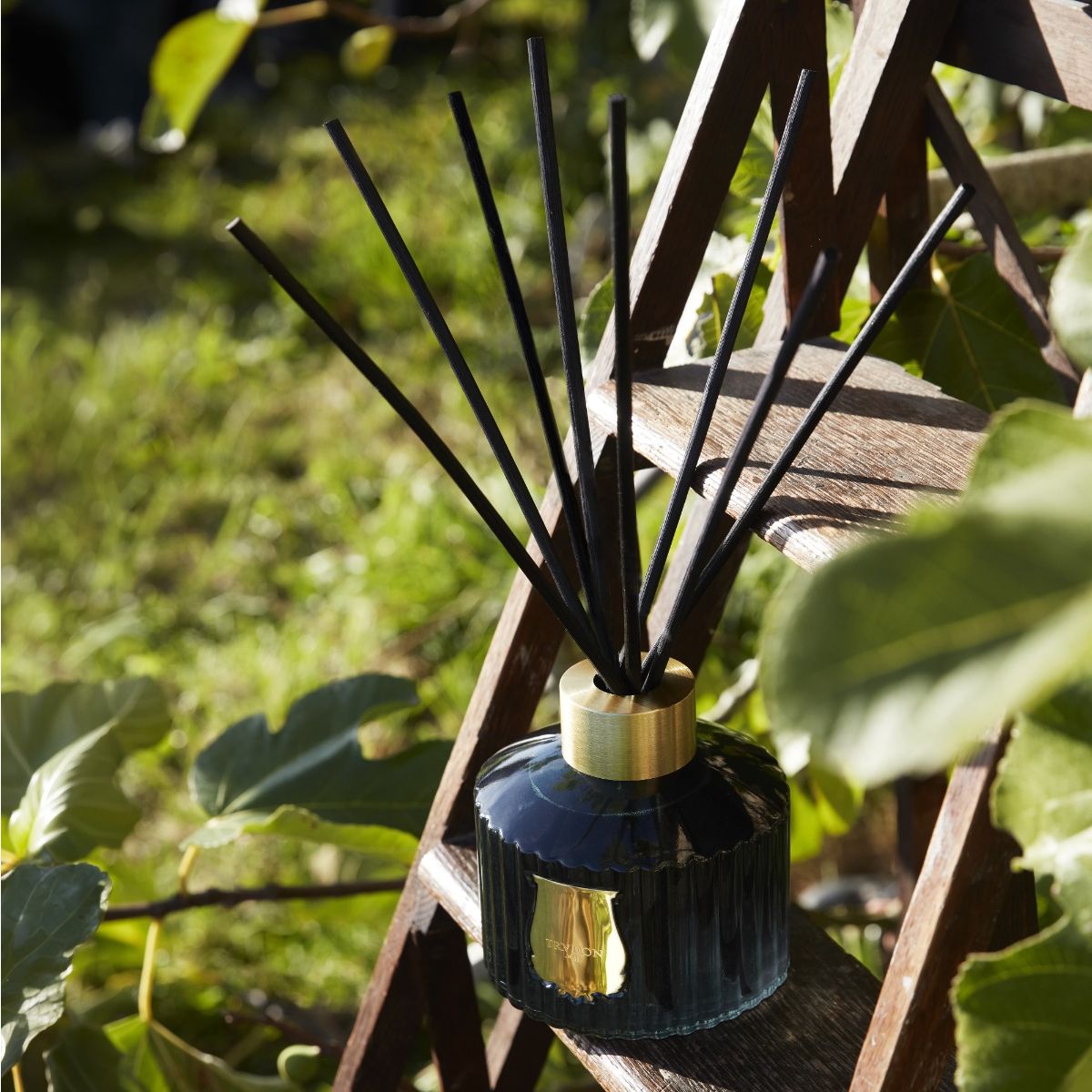 Reed diffuser with black sticks in a blue container on a wooden stand with greenery in the background