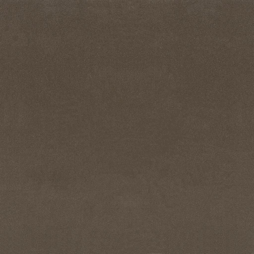 Ralph Lauren English Riding Velvet Cocoa