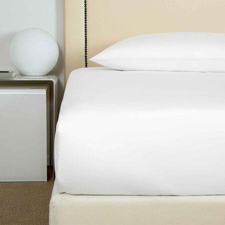 Cotton Flat Sheet
